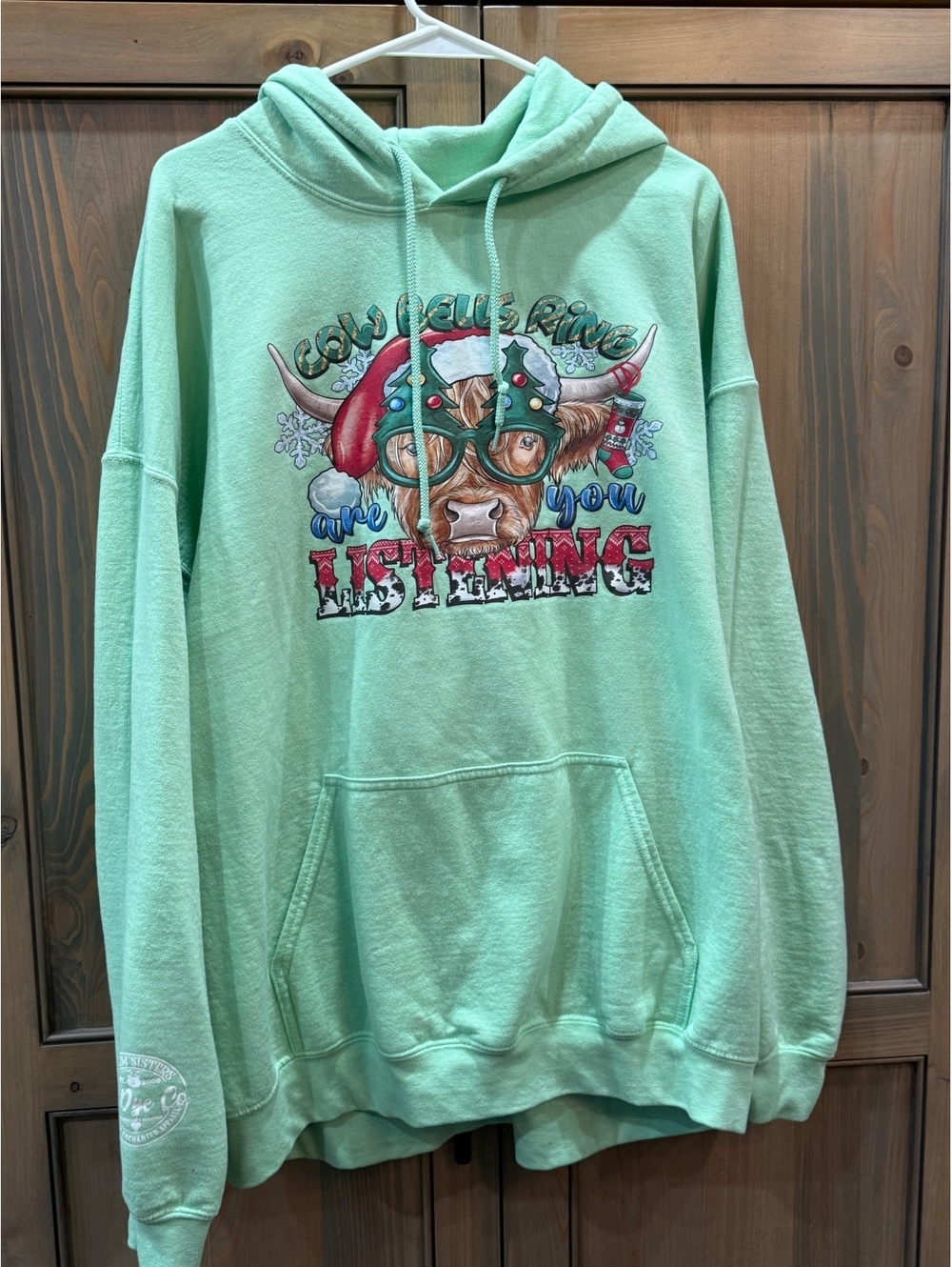 Salem Sisters Christmas Highland Cow Hoodie | Mint Sweatshirt (Size 2XL)